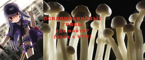 COCAINE Новодвинск