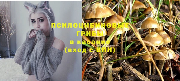 хмурый Нефтекумск