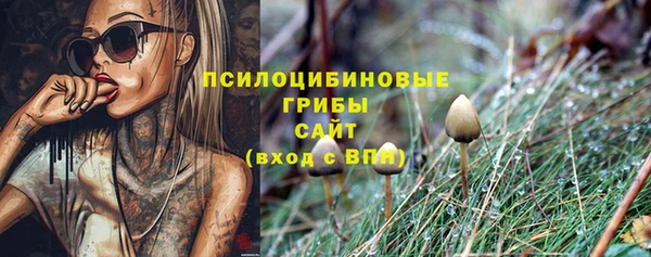 кристаллы Новозыбков