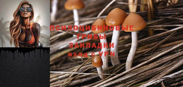 кристаллы Новозыбков
