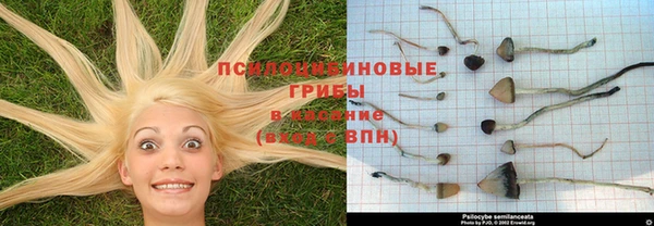 тгк Нефтегорск