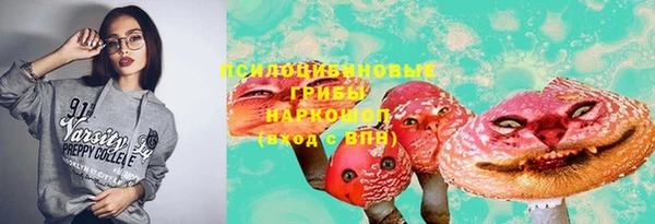 дурь Новокубанск