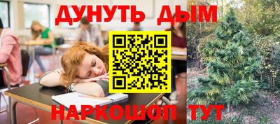 эйфоретик Берёзовский