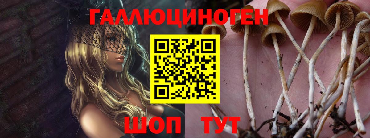 Галлюциногенные грибы MAGIC MUSHROOMS Ишимбай